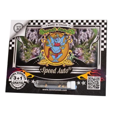 +Speed Auto